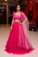Vedhika Stills